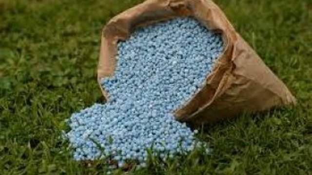США хотят, чтобы Украина помогла смягчить ограничения по белорусским удобрениям – СМИ