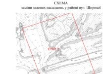 У Дніпрі планують замінити понад 100 дерев у районі вулиці Широкої