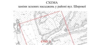 У Дніпрі планують замінити понад 100 дерев у районі вулиці Широкої