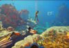 Subnautica 2 показала геймплей за 5 дней до раннего доступа — и это выглядит именно так, как надо