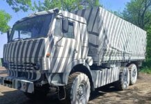 Операция «Мадагаскар»: поможет ли российским военным спрятаться от дронов Hornet камуфляж «зебры». ФОТО
