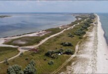 Оккупанты уже бегут с Кинбурнской косы: партизаны АТЕШ раскрыли причину