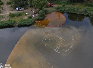 Кирилловское озеро загрязнено нефтепродуктами — спасатели борются с последствиями катастрофы. ФОТО