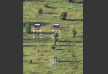 Смирились и даже не убегали: российские солдаты предпочитают тактику несопротивления удар БПЛА. ВИДЕО