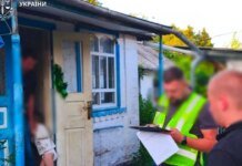 Матери шестерых детей грозит до 15 лет за попытку продажи сына