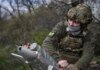 Оптоволоконная охота на бензин: как путинские «варяги» воюют с гражданскими АЗС