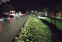 Суд назначил максимальное наказание водителю, который сбил насмерть несовершеннолетнюю и скрылся. ФОТО