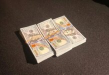 Хотел избежать проверки за 30 тысяч долларов: руководителя Львовского Держгеокадастра подозревают в подкупе