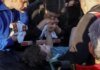 Выжили вопреки аду: мать держит за руку 6-летнего сына, которого достали из-под завалов во Львове. ВИДЕО