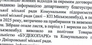 У Дніпрі на прибирання та вивезення опалого листя у 2025 році витратили понад 7,6 млн грн