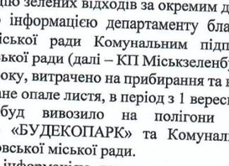 У Дніпрі на прибирання та вивезення опалого листя у 2025 році витратили понад 7,6 млн грн