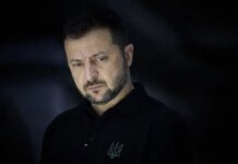 Зеленский просил Трампа и Маска предоставить Starlink для нанесения ударов по России — получил отказ
