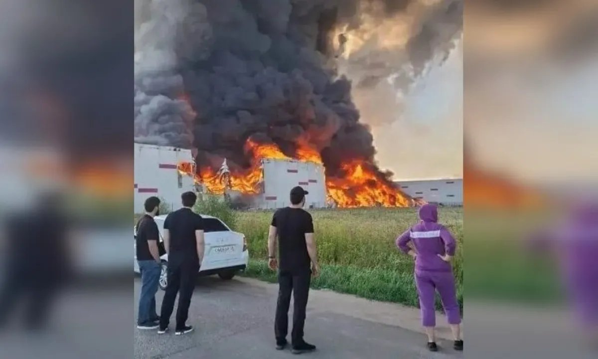 Семь из десяти: ВСУ вывели из строя большую часть крупнейших логистических центров Wildberries