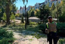 В Киеве обломки сбитого дрона убили 2-летнюю девочку в парке