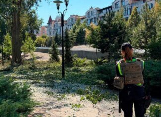 В Киеве обломки сбитого дрона убили 2-летнюю девочку в парке