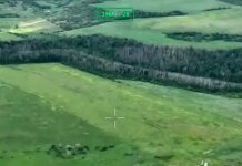 «Хартия» освободила 2 квадратных километра леса в Харьковской области: военные показали видео
