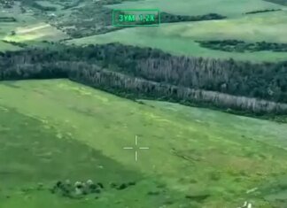 «Хартия» освободила 2 квадратных километра леса в Харьковской области: военные показали видео