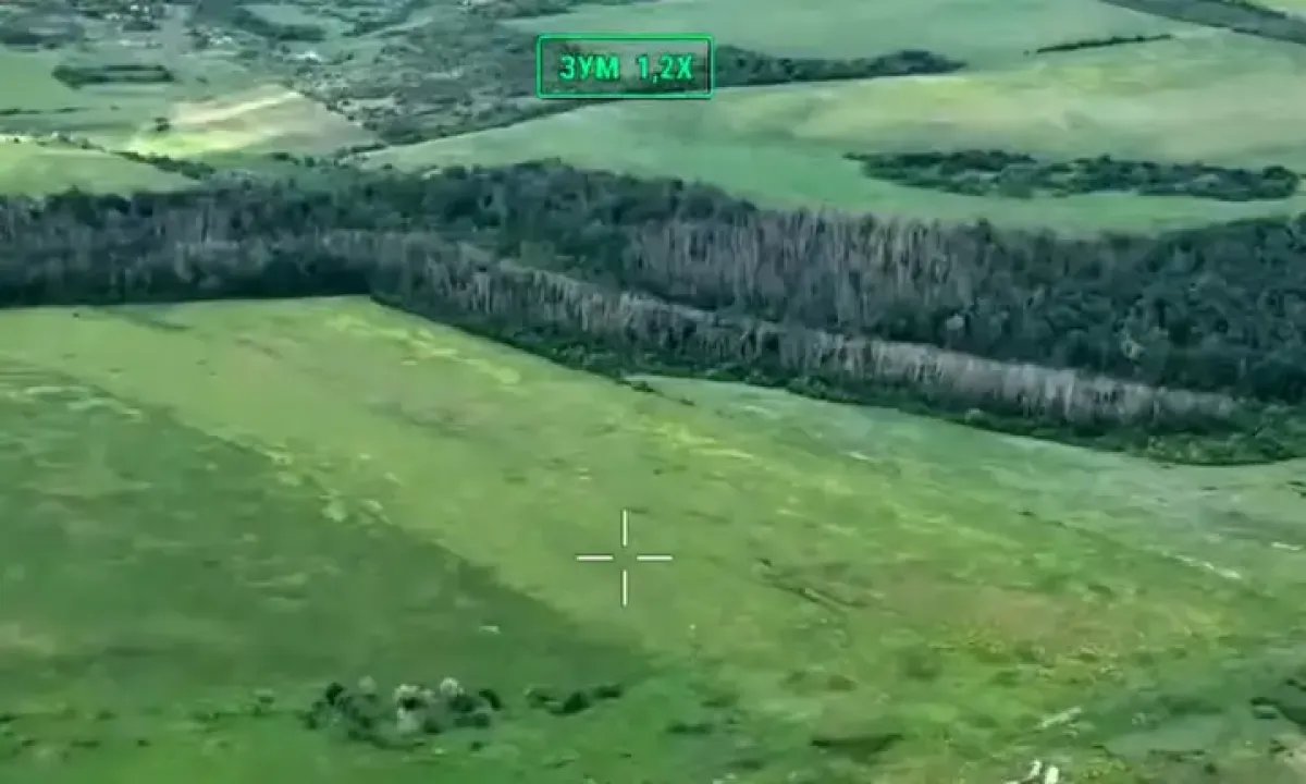 «Хартия» освободила 2 квадратных километра леса в Харьковской области: военные показали видео