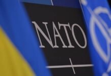 Зеленский: членство Украины в НАТО уменьшит риски российской агрессии для других стран Альянса