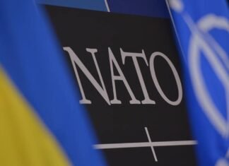 Зеленский: членство Украины в НАТО уменьшит риски российской агрессии для других стран Альянса