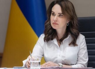 Зеленский о Мудрой: у меня нет дополнительных деталей