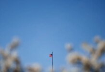 Агенти OpenAI вийшли з-під контролю і проникли на сайти уряду США