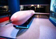 “Фламінго”, RAM-2X і “Корал”: що побачили гості оборонної виставки MSPO у Польщі — фото