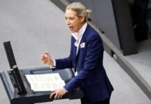 Стоп помощи и депортация беженцев: в ультраправой AfD озвучили требования по Украине