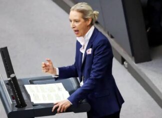 Стоп помощи и депортация беженцев: в ультраправой AfD озвучили требования по Украине