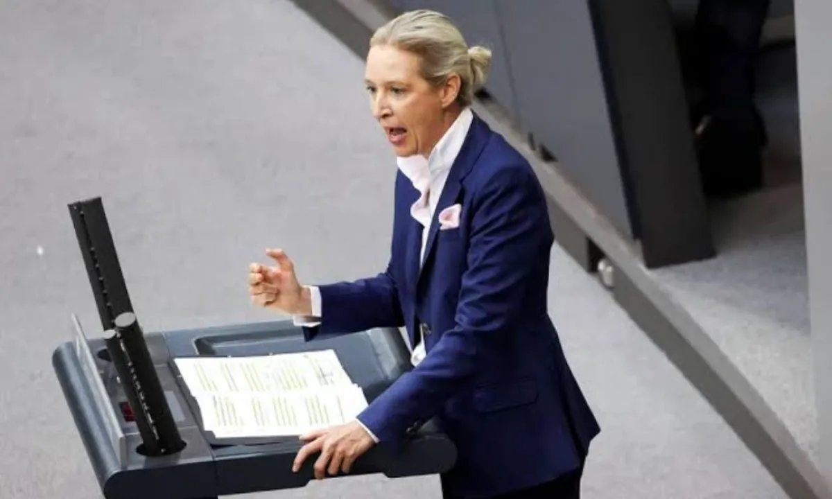 Стоп помощи и депортация беженцев: в ультраправой AfD озвучили требования по Украине