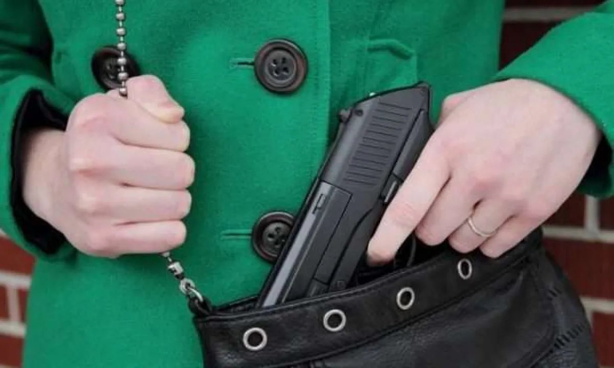 Новая петиция к правительству: огнестрельное оружие для гражданских предлагают легализовать