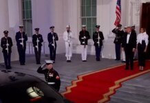 Глави SpaceX, Apple, Nvidia та ШІ-гігантів приєдналися до вечері Трампа і Сі
