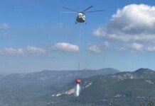 Лісові пожежі в Європі стають складнішими: як український авіаоператор працює у Греції