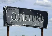 Трава вместо хлеба: Сибига рассказал, как жители оккупированных Олешек выживают на сорняках