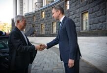 Корецкий обсудил со спикером Палаты представителей парламента Японии вопрос о поддержке украинской энергосистемы