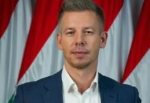 Мадьяр заявил, что Венгрия не присоединилась к «Карпатской восьмерке» – СМИ