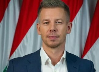 МИД: Встреча Зеленского и Мадьяра планируется, Украина передала новое предложение, когда и где именно могли бы встретиться лидеры
