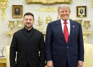 Зеленский: я рассчитываю в 20-х числах на встречу с Трампом