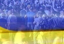Зеленский, Залужный и Федоров, а также их партии возглавляли электоральные рейтинги в августе