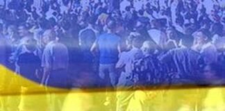 Зеленский, Залужный и Федоров, а также их партии возглавляли электоральные рейтинги в августе