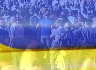 Зеленский, Залужный и Федоров, а также их партии возглавляли электоральные рейтинги в августе