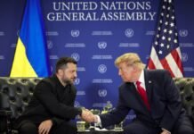 Трамп надеется на достижение соглашения между Зеленским и Путиным еще до наступления суровой зимы