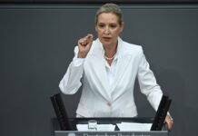 Экономический советник Путина и руководство AfD готовят встречу по восстановлению поставок газа – СМИ