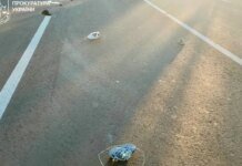 10-летняя девочка погибла в Харьковской области после наезда автомобиля на пешеходном переходе