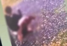 Ревность и сломанный нос: в Мукачево в суд направили дело 19-летней девушки, избившей соперницу. ВИДЕО