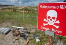Поле смерти: неразорвавшийся российский снаряд оборвал жизни двух подростков на Сумщине