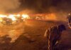 Пёс не выжил: вражеский дрон ударил по приюту для животных в Одесской области — погибла собака, сгорели 14 авто. ФОТО