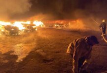 Пёс не выжил: вражеский дрон ударил по приюту для животных в Одесской области — погибла собака, сгорели 14 авто. ФОТО