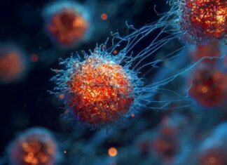 Вчені виявили зміни в імунних клітинах, які можуть передбачити розвиток діабету та інших хвороб за роки до симптомів