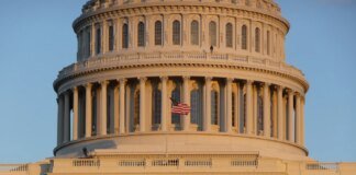Сенатори США закликали до розслідування перебоїв Starlink в Україні
